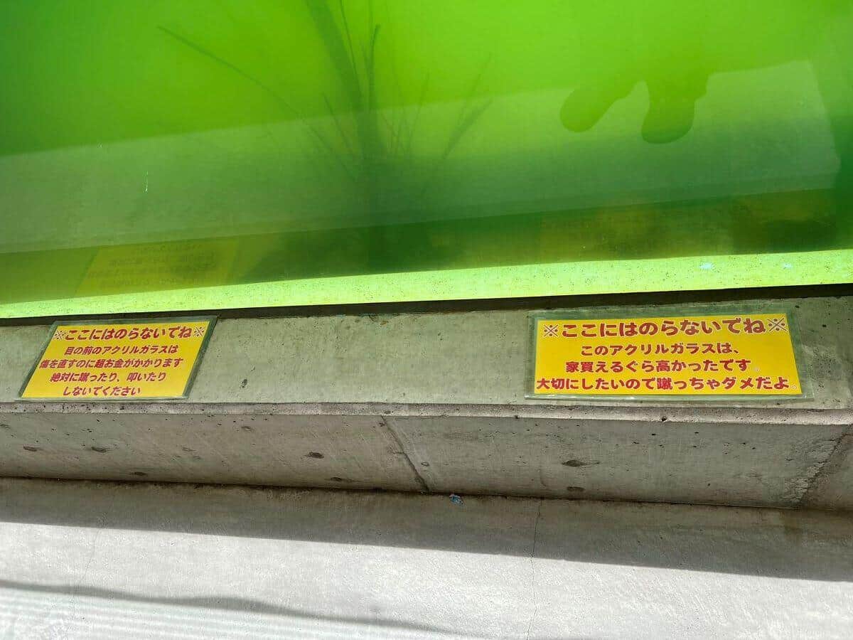 「竹島水族館」カピバラエリアの張り紙、写真提供：Xユーザー「＠yukarinhocha」さん