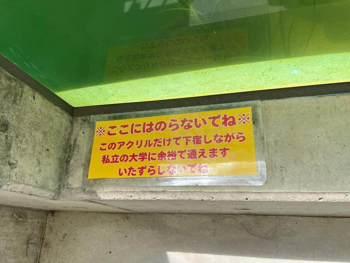 愛知・竹島水族館、水槽ガラスは「館長の車より高い」 「ユーモア溢れる注意喚起」で16万いいね...背景に迫る