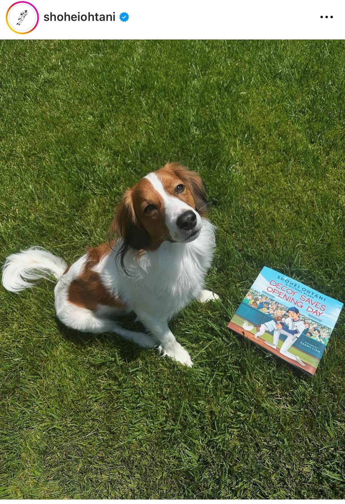 大谷の愛犬デコピン（大谷のインスタグラムより）
