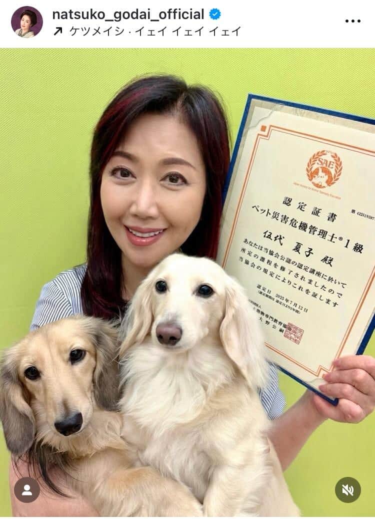 伍代夏子63歳、バッサリ髪カットで「超可愛い」ステキ大絶賛　「でも...いつもの着物ヘア結えるかなぁ」