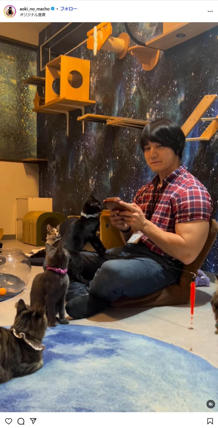 青木マッチョさんのインスタグラム（＠aoki_no_macho）より