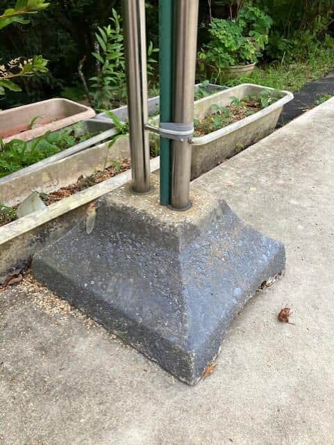 7月末に見られたという「朝に羽化を始めたセミ」（写真提供：東洋産業の大野竜徳さん）