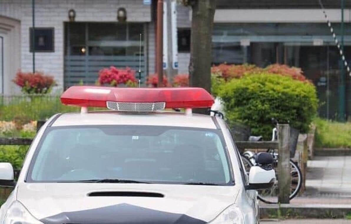 写真はイメージ