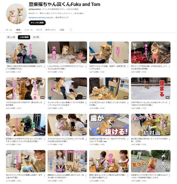 YouTubeチャンネル「豆柴福ちゃん富くんFuku and Tom」より