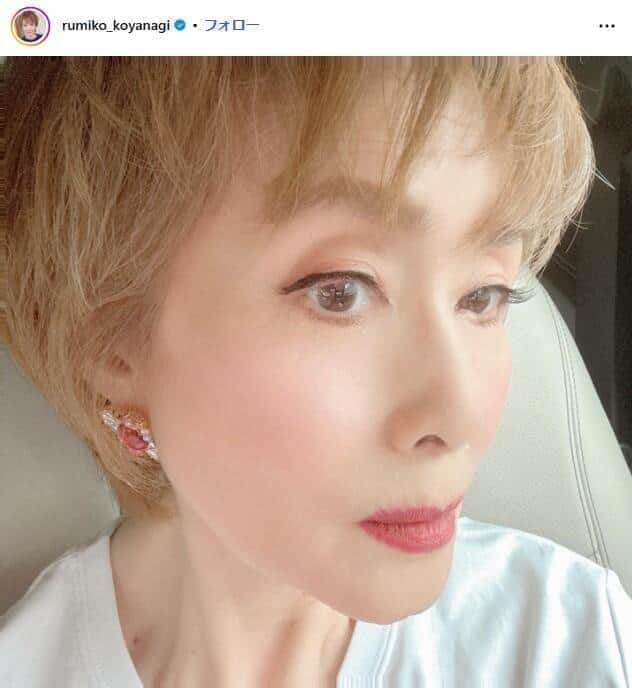 小柳ルミ子、愛犬急死から49日「毎日涙が止まらない」　仕事後に発覚...人生初の心療内科へ