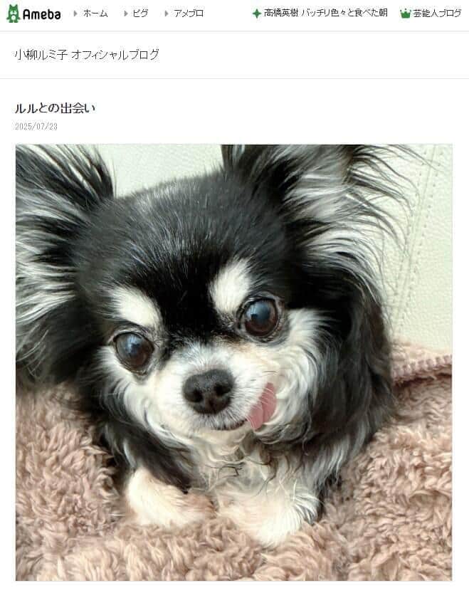 小柳ルミ子さんが2025年7月23日に公開したブログエントリーより