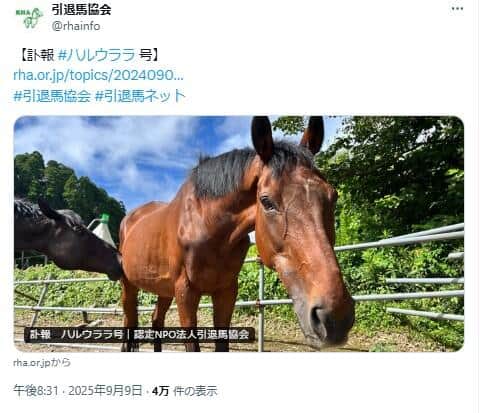 ハルウララの旅立ちは認定NPO法人・引退馬協会のXで発表された