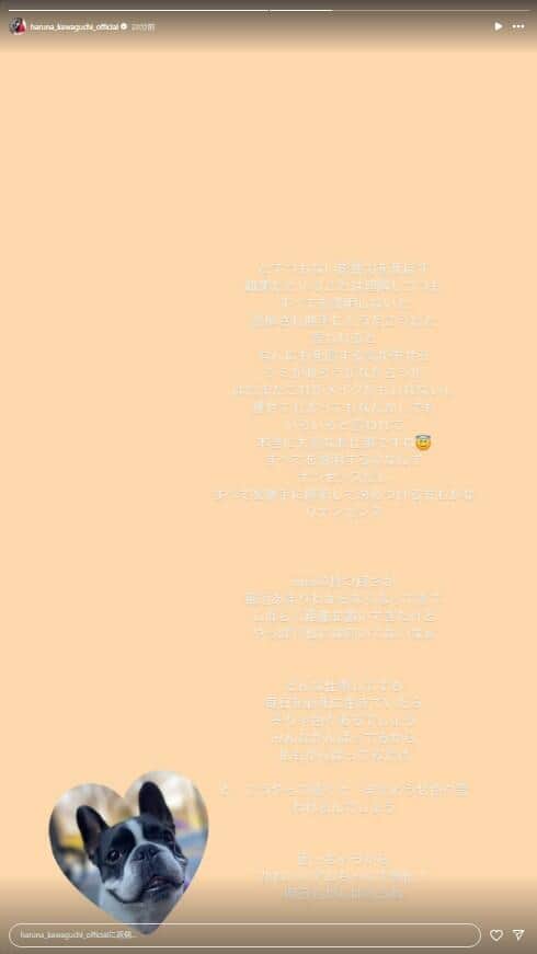 川口春奈さんのインスタグラムより（haruna_kawaguchi_official）