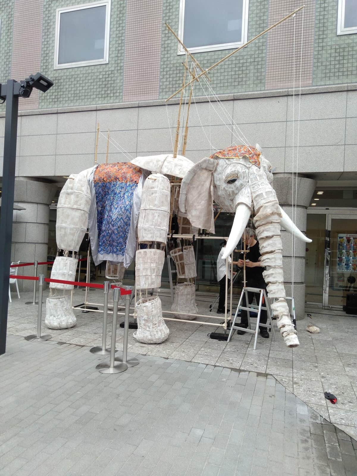 象の「白糸恩（はくしょん）」。せせらぎさんのX（＠sheepstilts）より