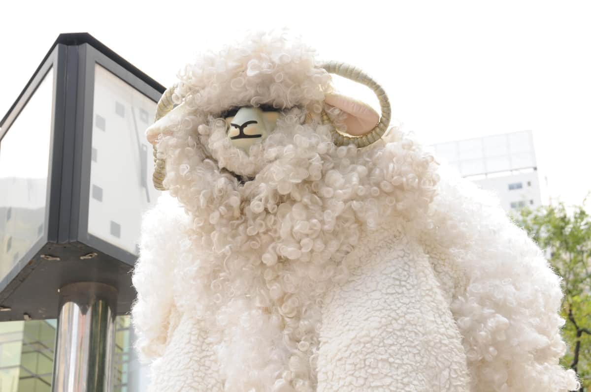 巨大すぎる「羊」の目撃情報相次ぐ→大道芸人が名乗り「わたしです」　いったい何者？本人に取材...Xの反響に「ふふふ」