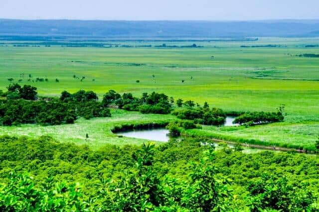 「中国に乗っ取られる」とまで...釧路湿原、伊東市で注目のメガソーラー建設　温暖化が進む、環境壊すとの批判の真相