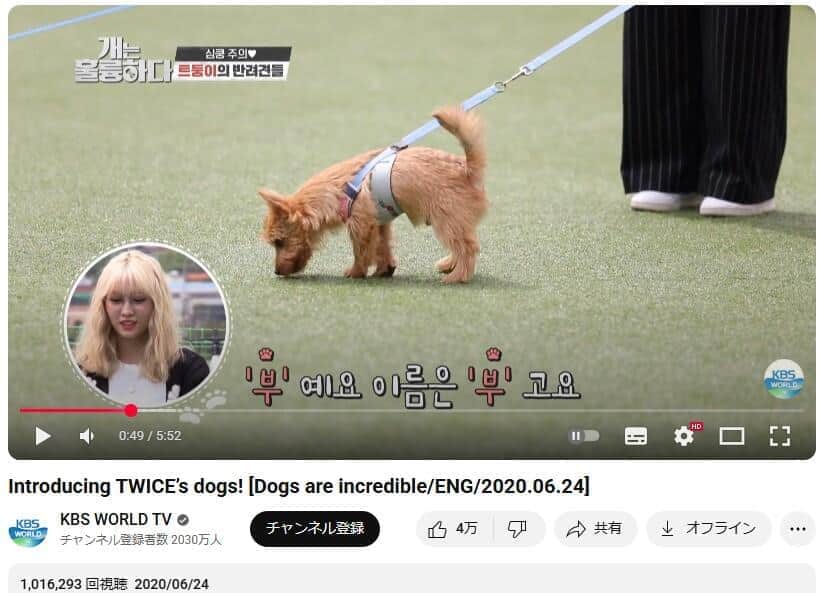 愛犬「ブー」を紹介するTWICEモモさん。YouTubeチャンネル「KBS WORLD TV」で2020年6月24日に公開された動画より