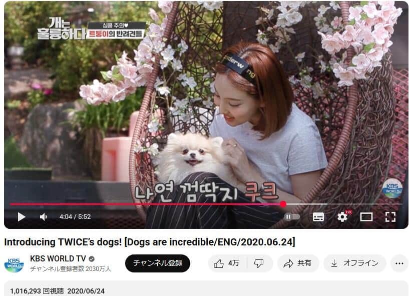 TWICEナヨンさんと愛犬「クク」。YouTubeチャンネル「KBS WORLD TV」で2020年6月24日に公開された動画より