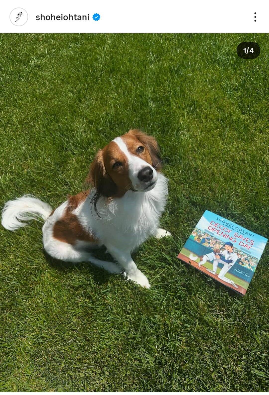 大谷翔平選手のインスタグラム（＠shoheiohtani）より