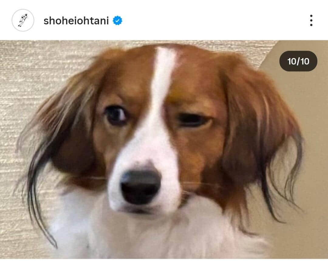 大谷翔平選手のインスタグラム（＠shoheiohtani）より