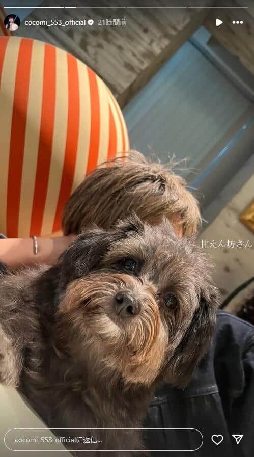 Cocomiさんのインスタグラム（＠cocomi_553_official）より