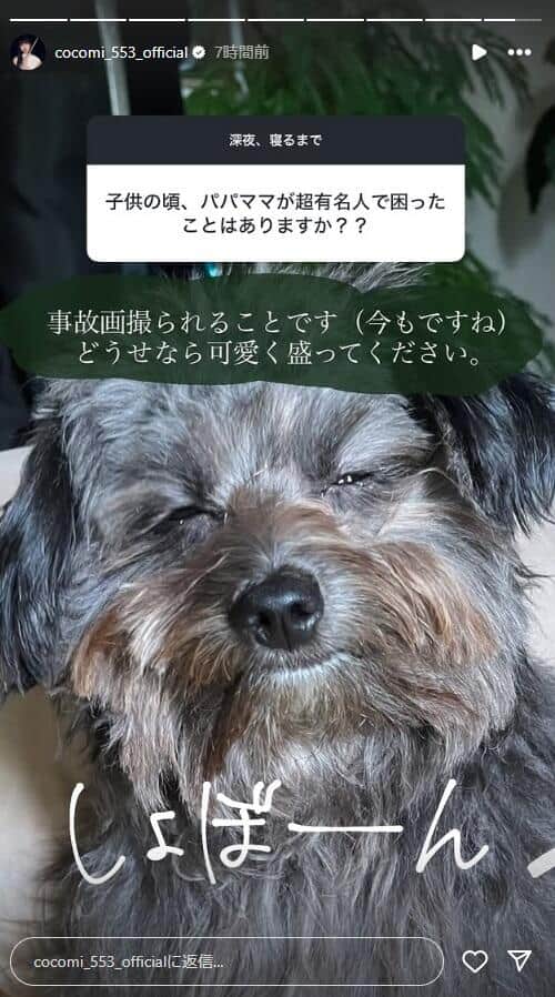 Cocomiさんのインスタグラム（＠cocomi_553_official）より