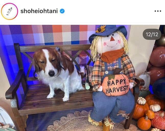 大谷翔平選手のインスタグラム（＠shoheiohtani）より