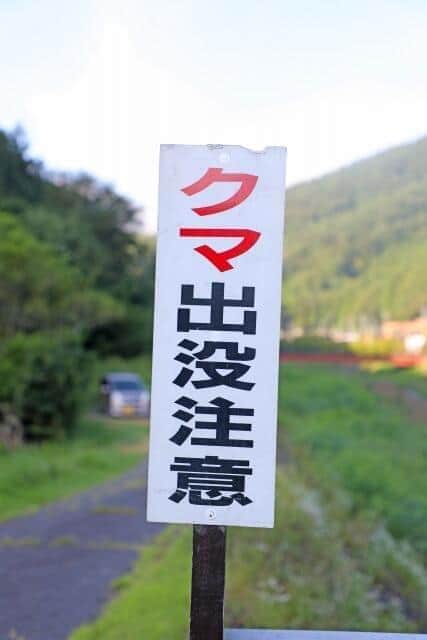 クマ出没のリスクが高まっている（写真はイメージ）
