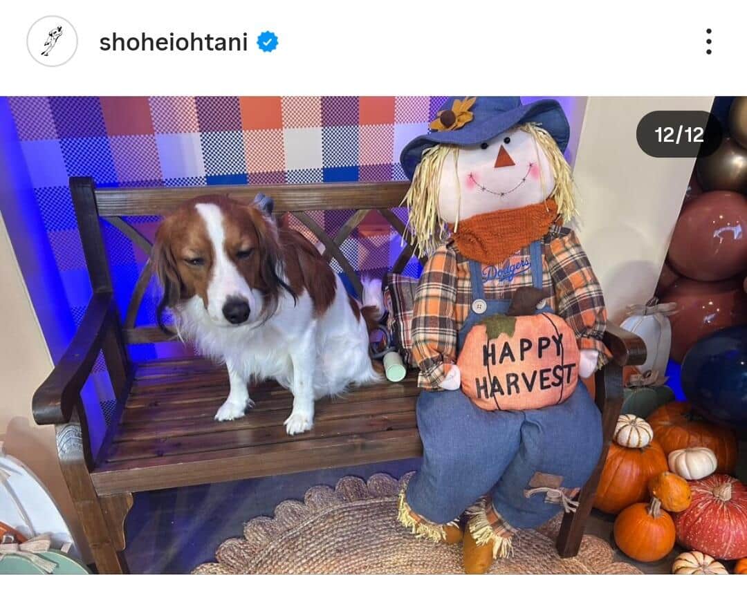 大谷翔平選手のインスタグラム（＠shoheiohtani）より