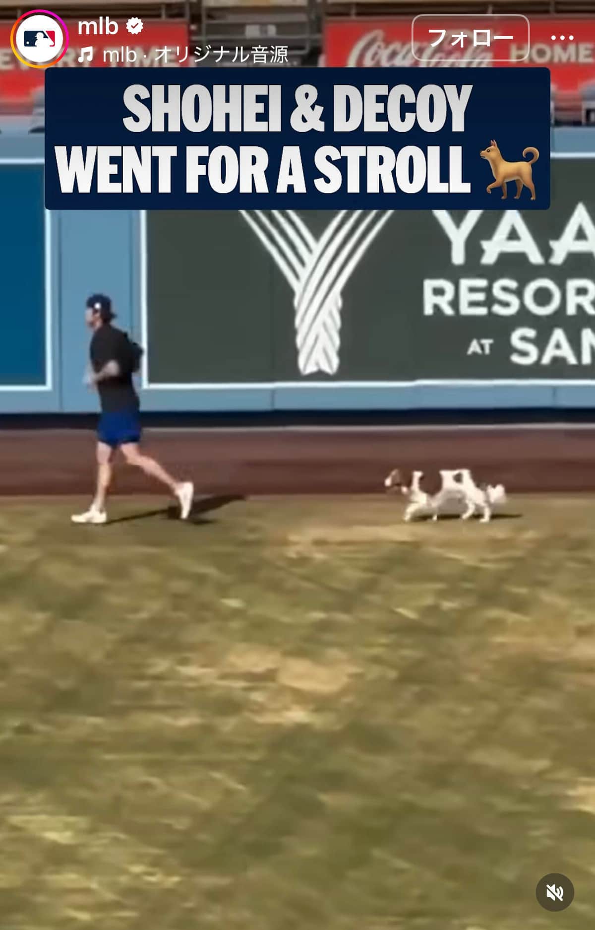 MLBの公式インスタグラム（＠mlb）より