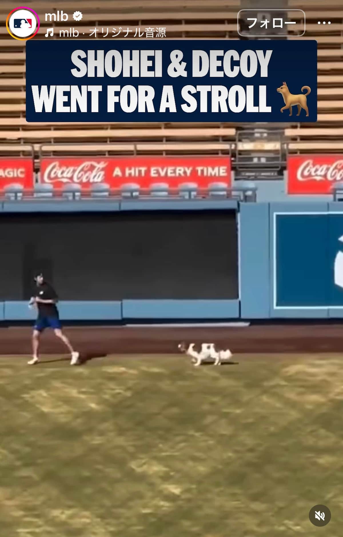 MLBの公式インスタグラム（＠mlb）より