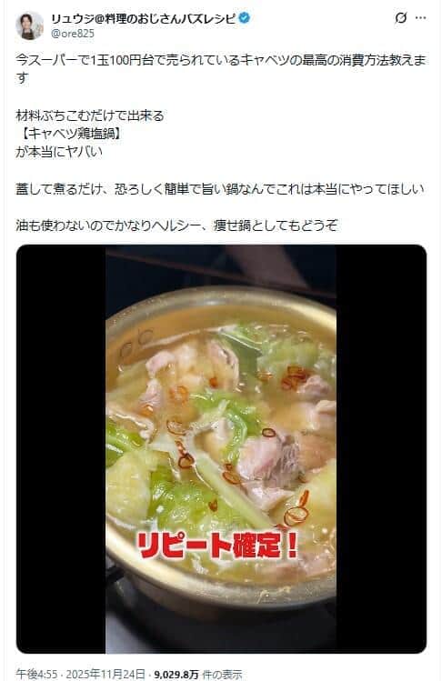 ネットミームの発端。「キャベツ鶏塩鍋」がおいしそう
