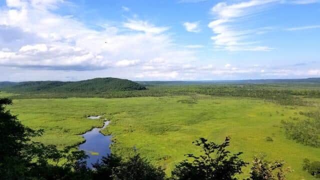 野口健、メガソーラーめぐる北海道知事の「中止命令」言及を称賛　「一歩踏み込まれた。あとはボタンを押すということ」