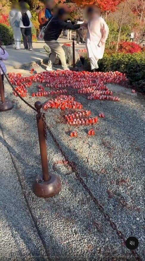 ダルマのメッセージが崩される様子。写真提供：Threadsユーザー（＠cwsocool_）さん、編集部で一部加工