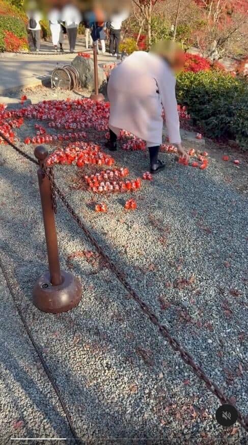 ダルマのメッセージが崩される様子。写真提供：Threadsユーザー（＠cwsocool_）さん、編集部で一部加工