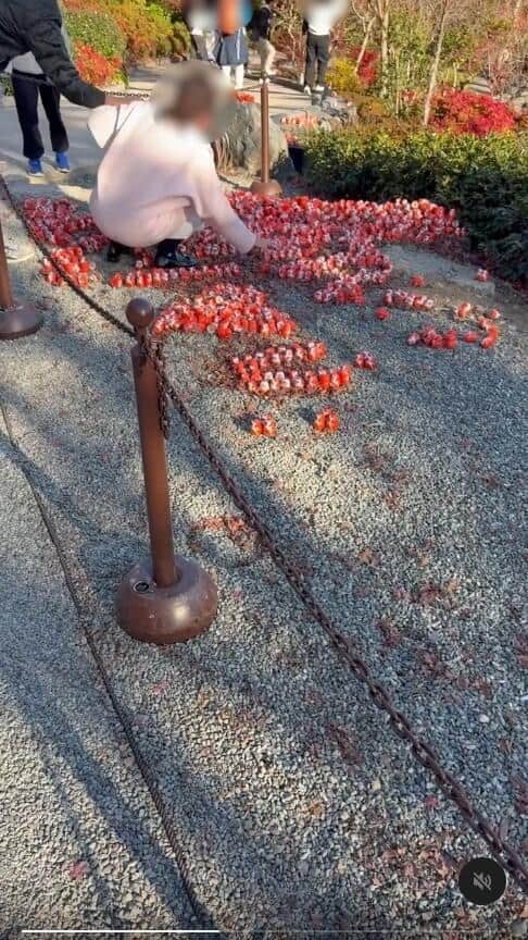 ダルマのメッセージが崩される様子。写真提供：Threadsユーザー（＠cwsocool_）さん、編集部で一部加工