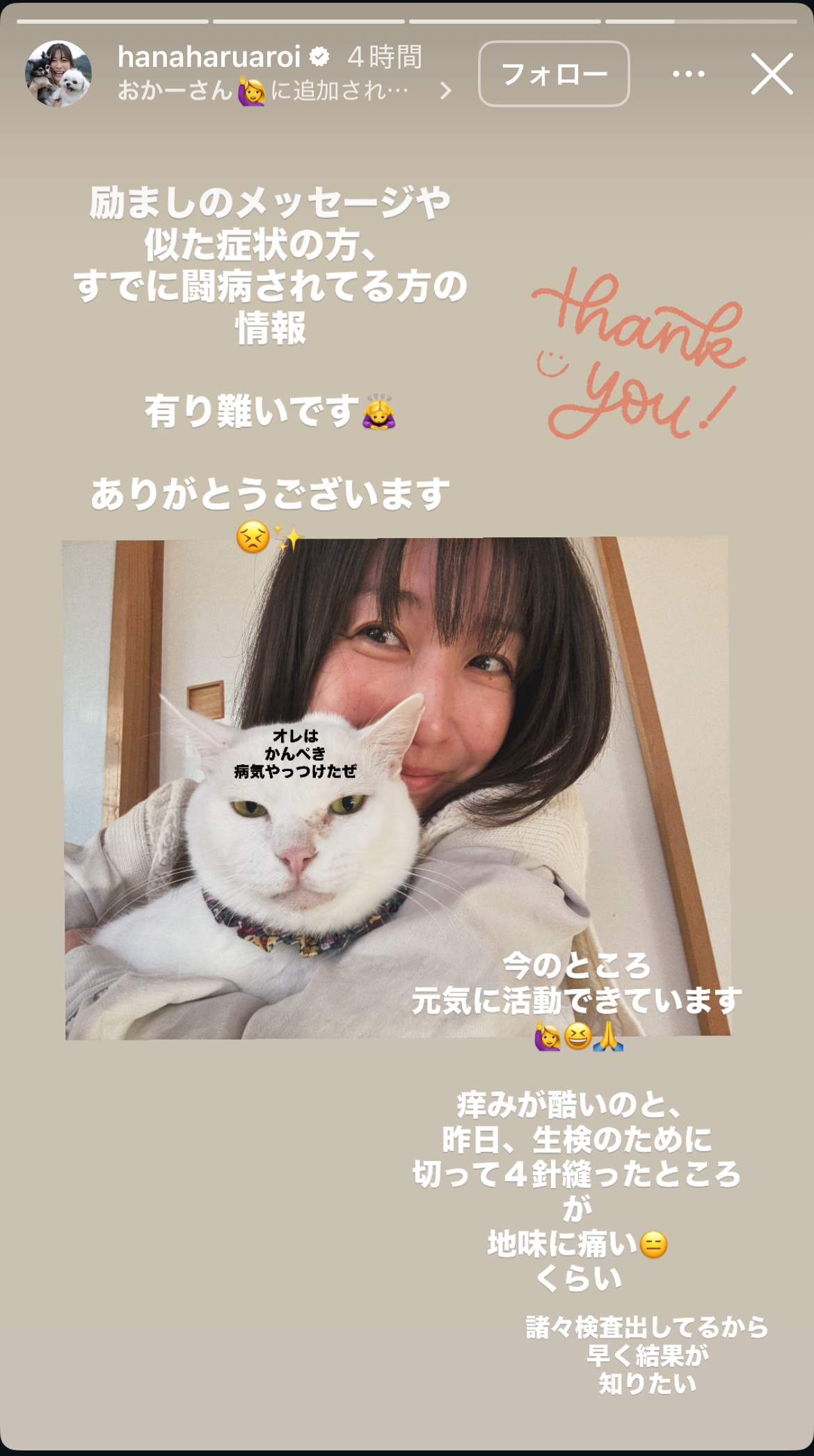 小野真弓さんのインスタグラム（＠hanaharuaroi）より