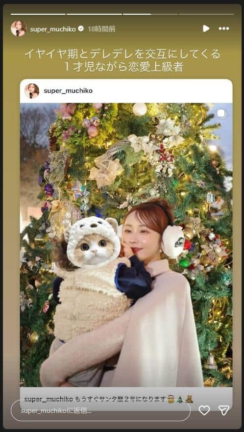 てんちむさんのインスタグラム（＠super_muchiko）より