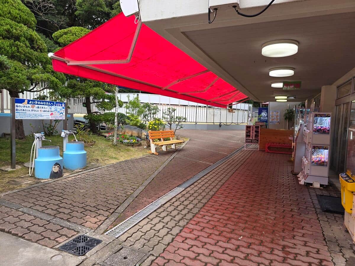 クリスマス・イブの朝の桂浜水族館（同館提供）