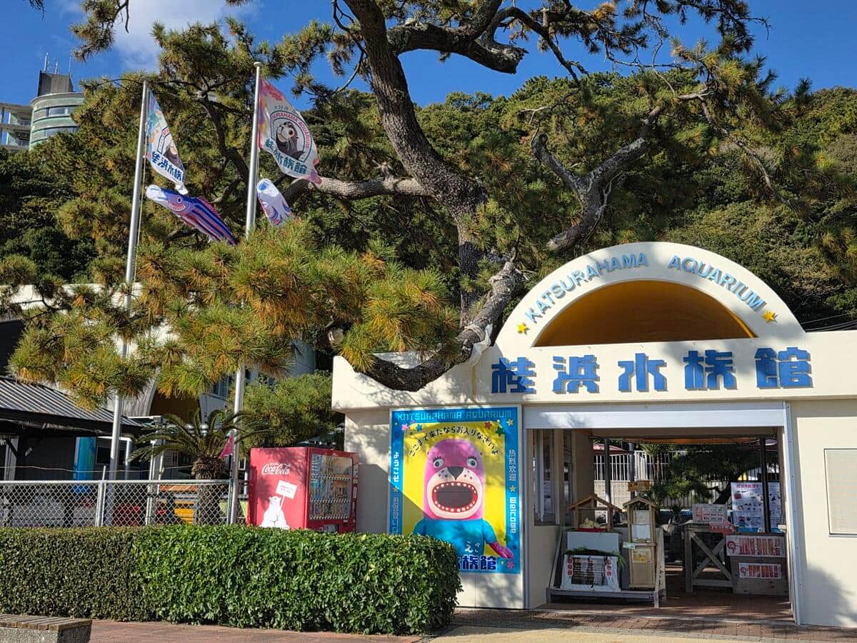 桂浜水族館（同館提供）
