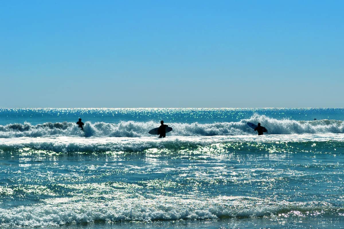 サーフィン企画後のトークが盛り上がった（写真はイメージ）
