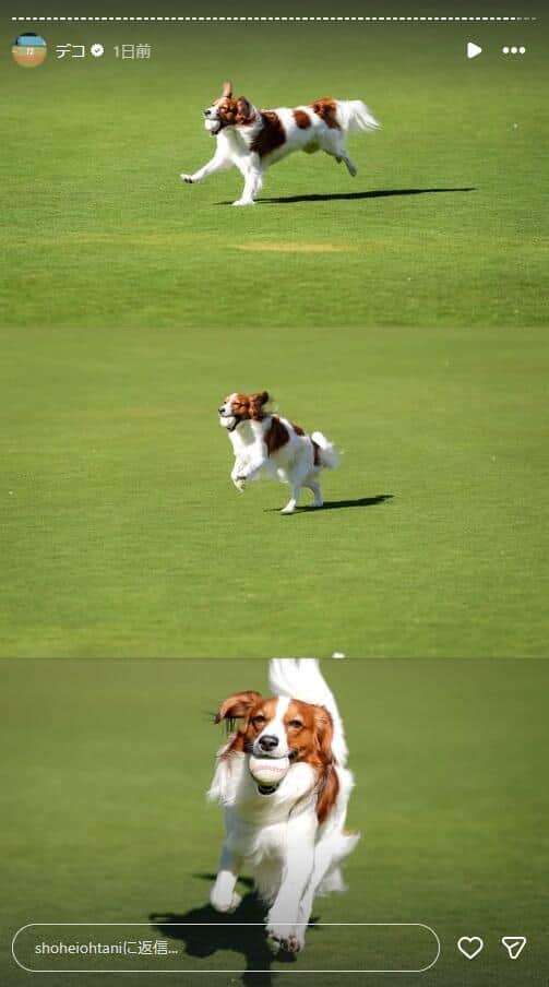 大谷翔平選手のインスタグラム（＠shoheiohtani）より