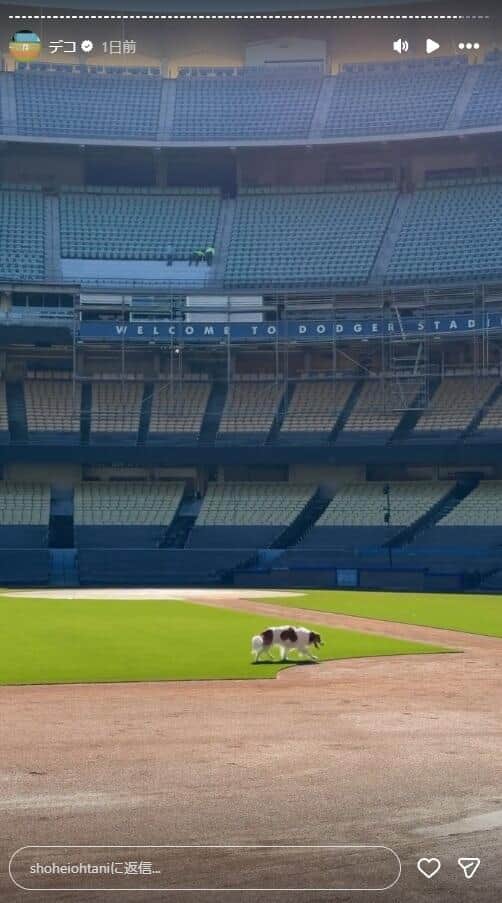 大谷翔平選手のインスタグラム（＠shoheiohtani）より