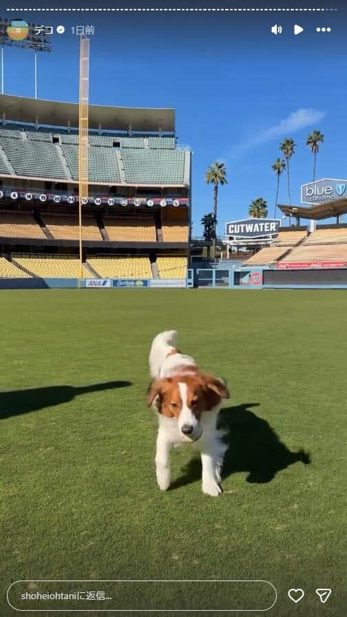 大谷翔平選手のインスタグラム（＠shoheiohtani）より