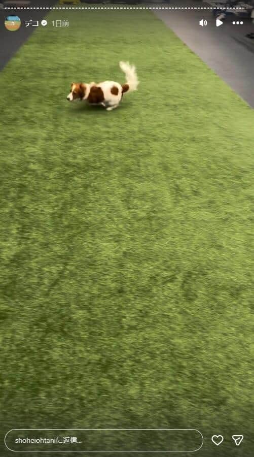 大谷翔平選手のインスタグラム（＠shoheiohtani）より