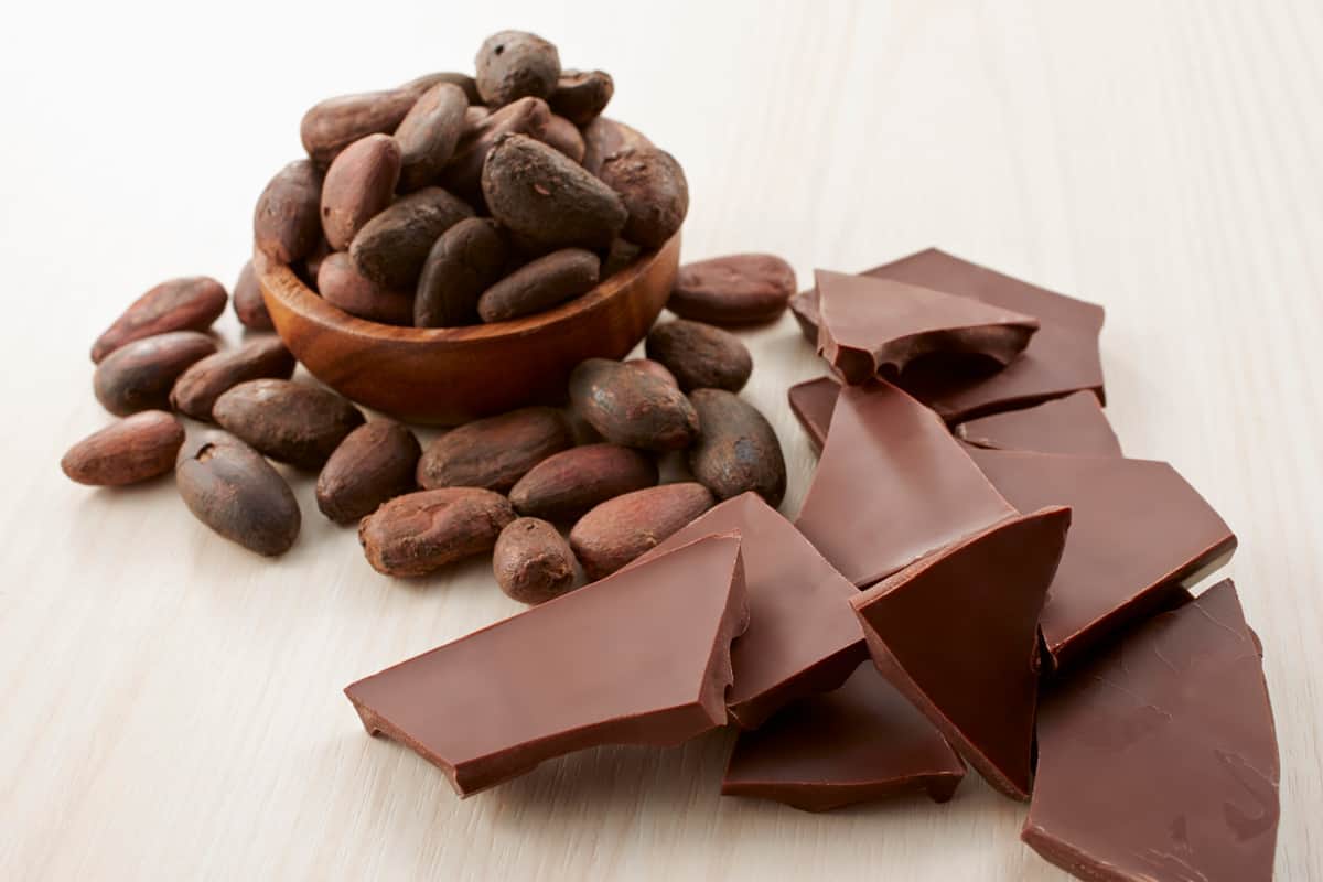 アニマルカフェ、客が無断でチョコ菓子与え「マーモットの命に関わる重大な事件」訴え