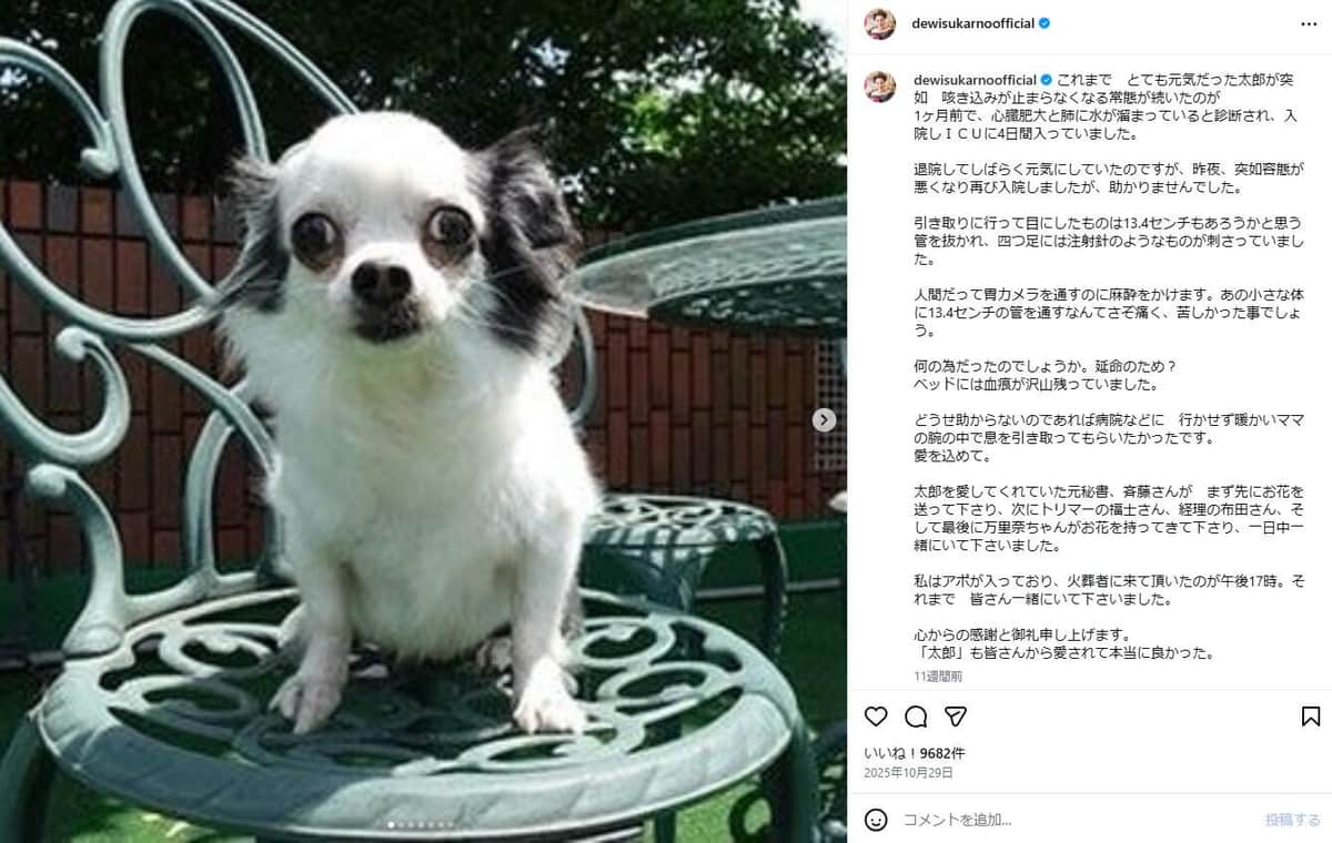 デヴィ夫人のインスタグラム（＠dewisukarnoofficial）より