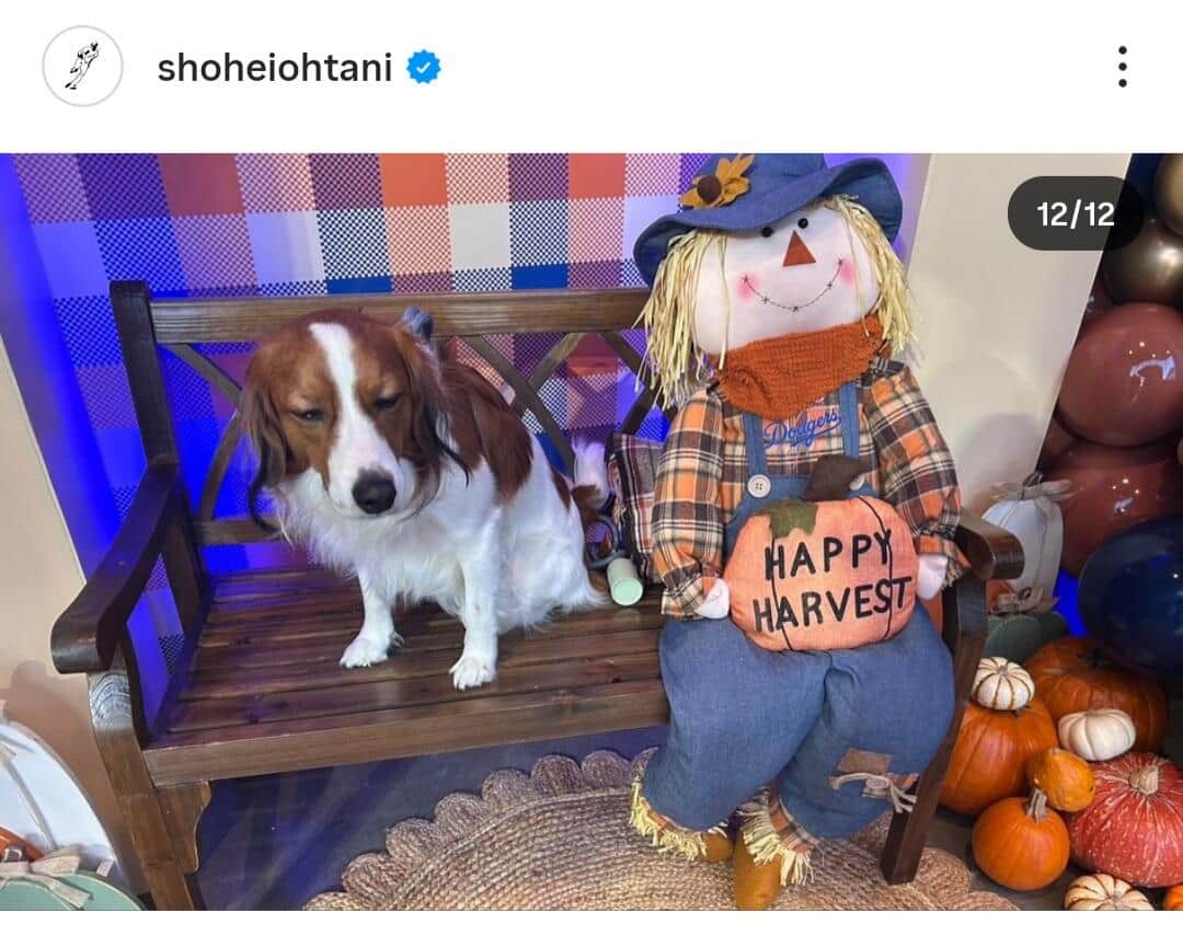 大谷翔平選手のインスタグラム（＠shoheiohtani）より
