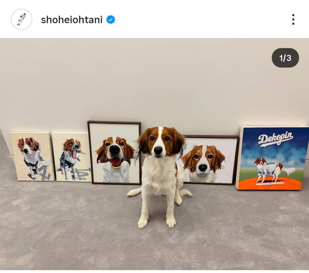大谷翔平選手のインスタグラム（＠shoheiohtani）より