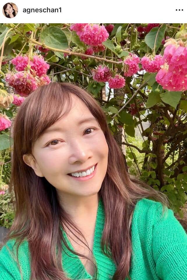アグネス・チャンさんのインスタグラム（＠agneschan1）より