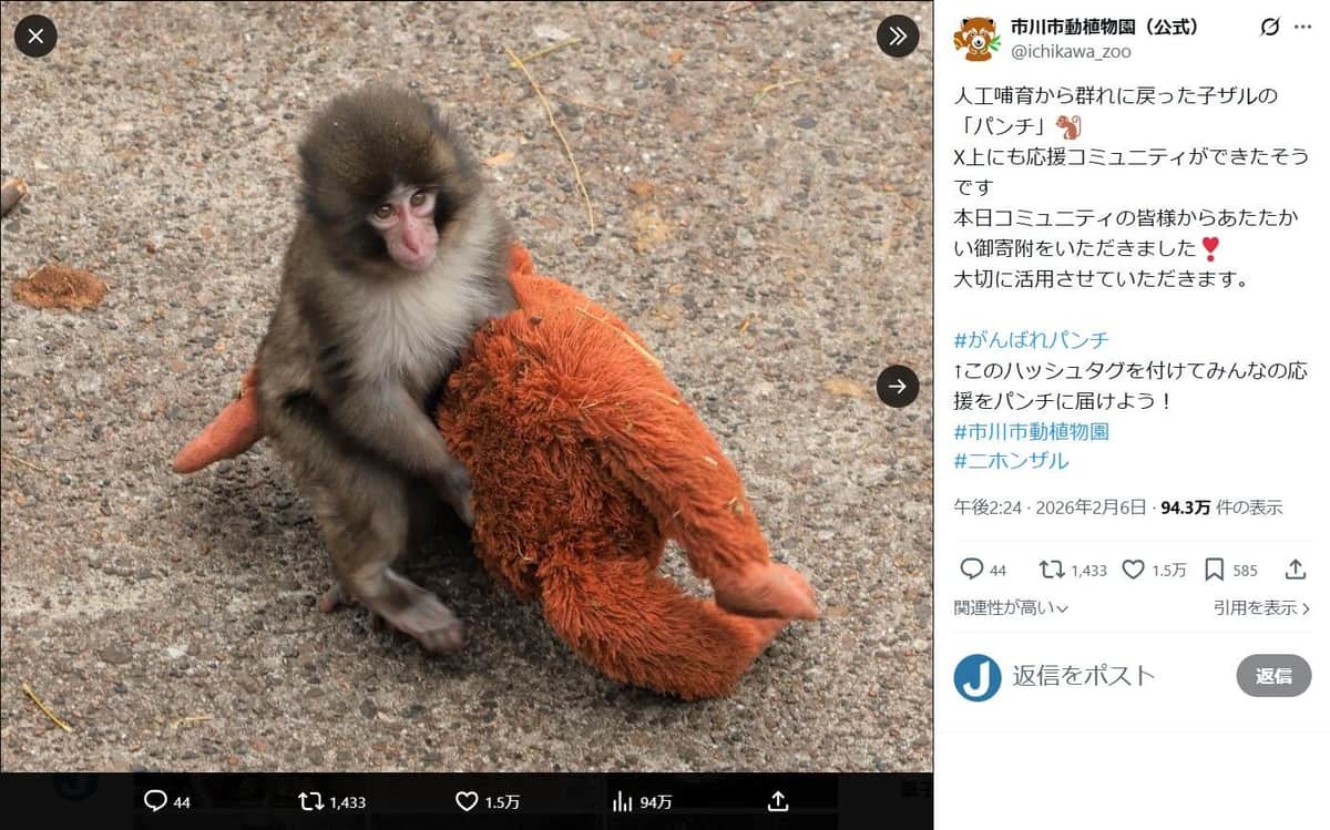 市川市動植物園のX（＠ichikawa_zoo）より