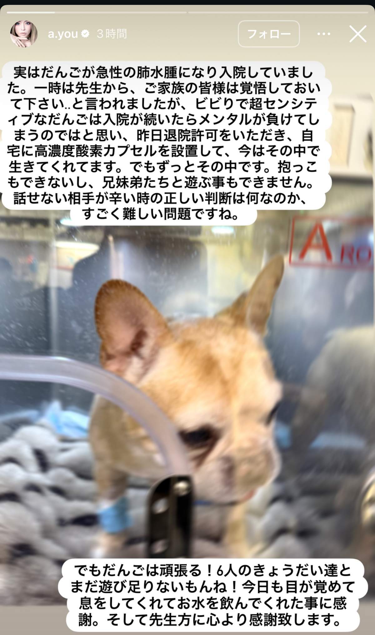 浜崎あゆみさんの投稿。「すごく難しい問題」への判断を迫られている
