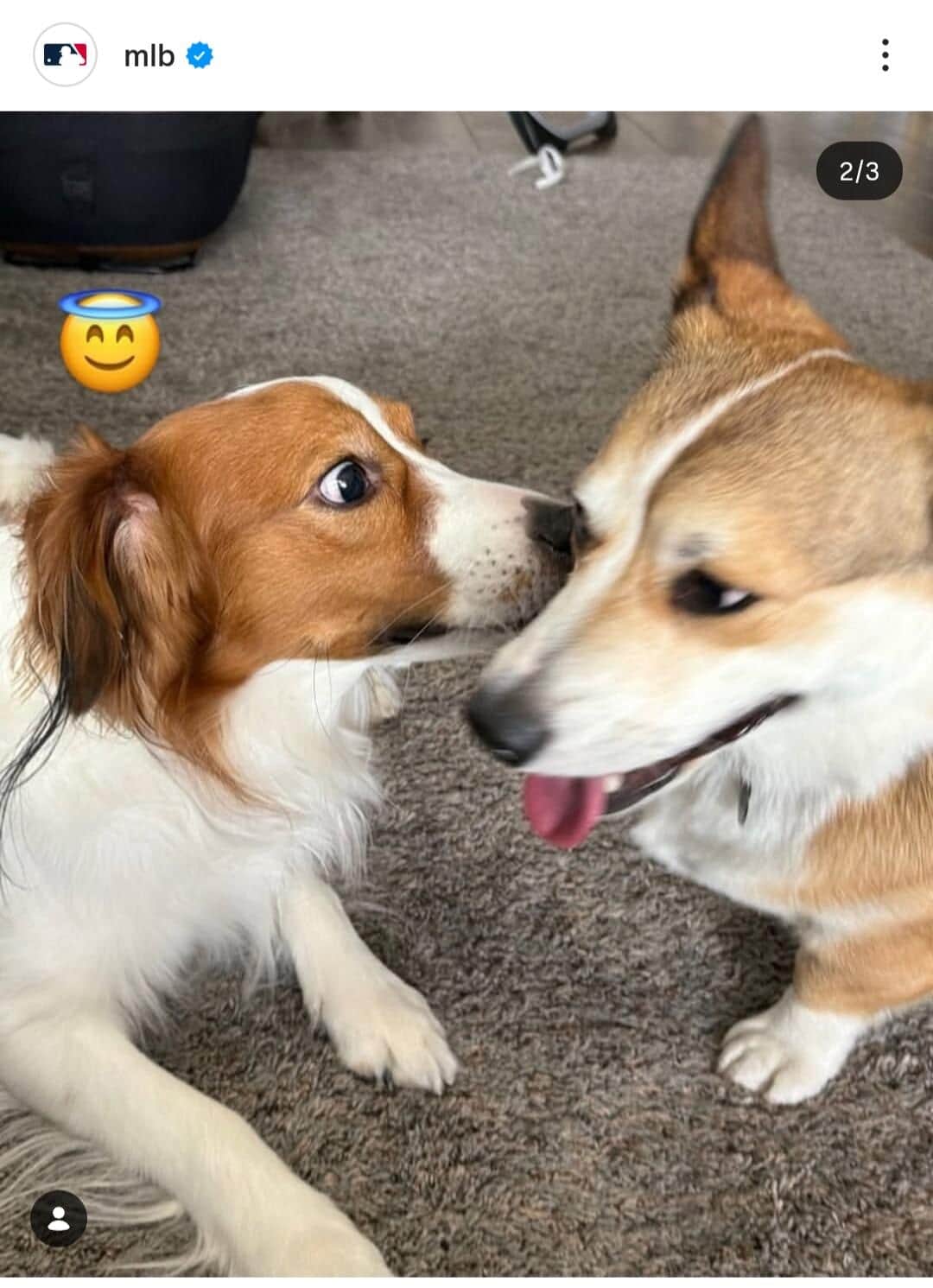 MLB公式インスタグラム（＠mlb）より