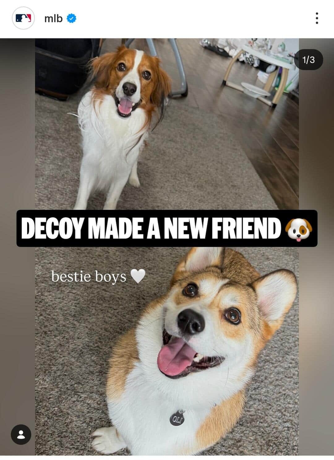 MLB公式インスタグラム（＠mlb）より