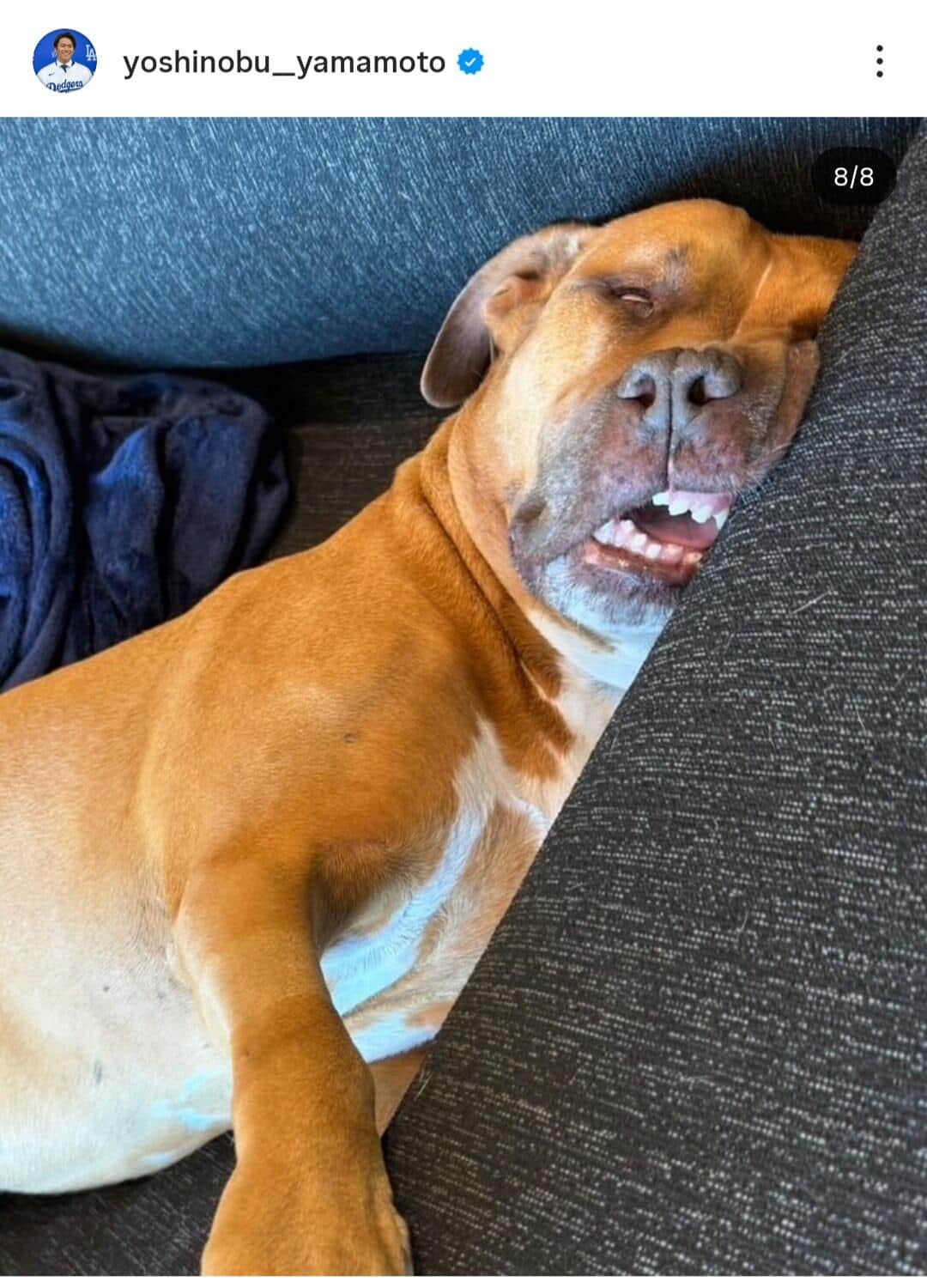 山本由伸投手のインスタグラム（＠yoshinobu__yamamoto）より